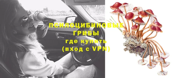 твердый Алексин