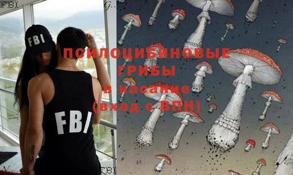 прущий лед Алзамай