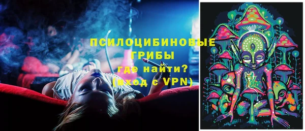 твердый Алексин