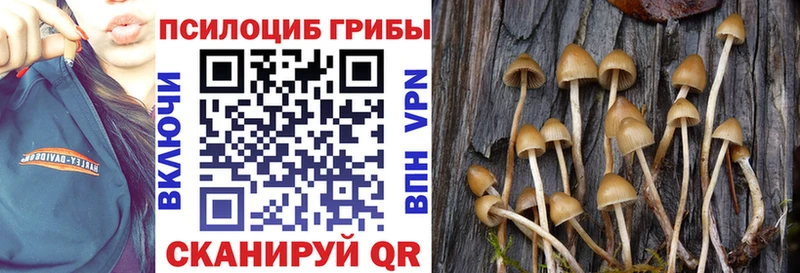 Галлюциногенные грибы GOLDEN TEACHER  Дегтярск 
